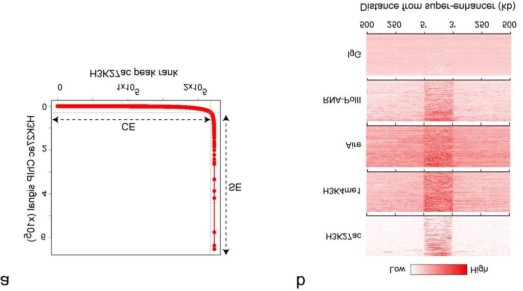 Supplementary Figure 3 Super-enhancer repertoire of HEK293T cells. a) Hockey plot for delineation of super-enhancers in HEK293T cells with ChIP-seq experiment reported in (ref.