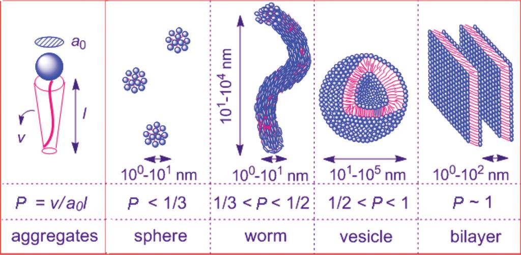 Size, shape and structure of micelles Depending: Molecular structure of the tensides