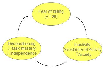 Fear of Falling Cycle