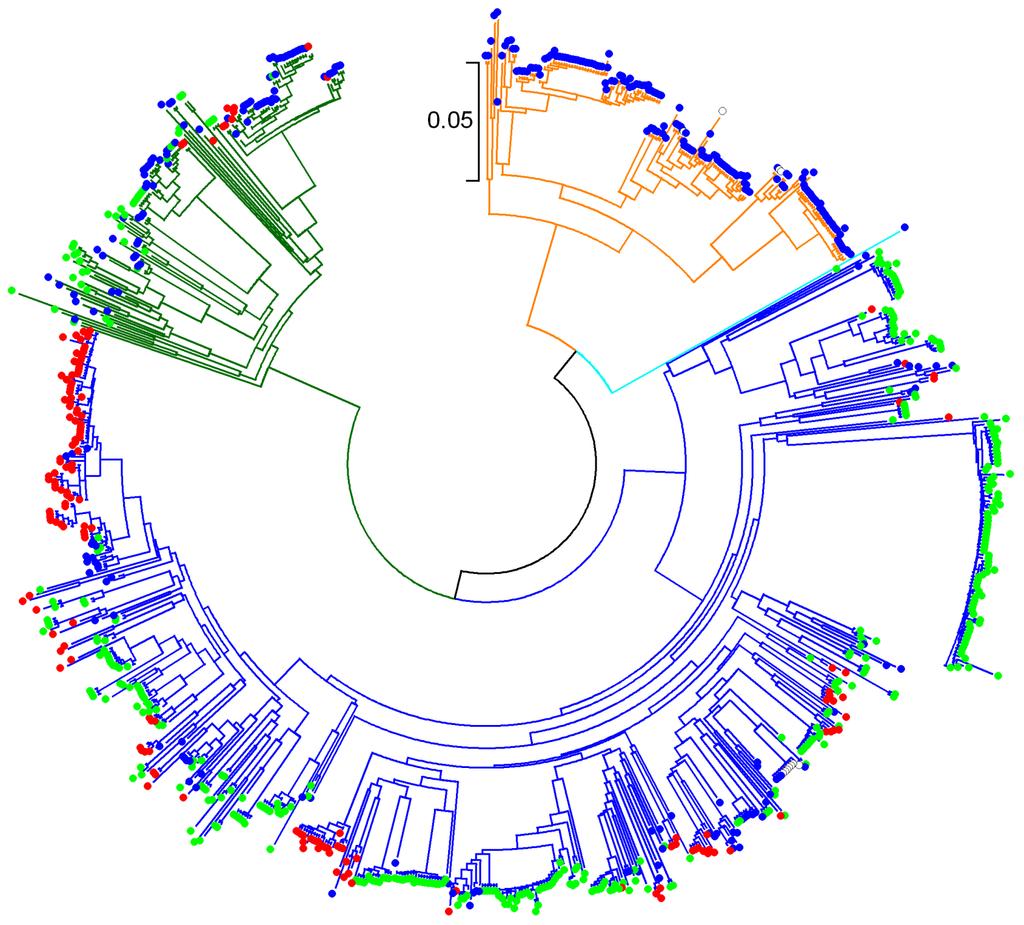 Phylogenetic analysis of HEV isolates NJ method, 410nt of ORF2 corresponding to nt 5645-6354 of M73218 74/165 (44.
