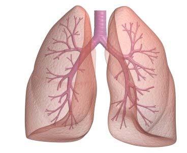 COPD is a leading cause of mortality and morbidity Chronic Obstructive Pulmonary Disease (COPD) is the third leading cause of death worldwide 1 More than 200 million people worldwide are estimated to