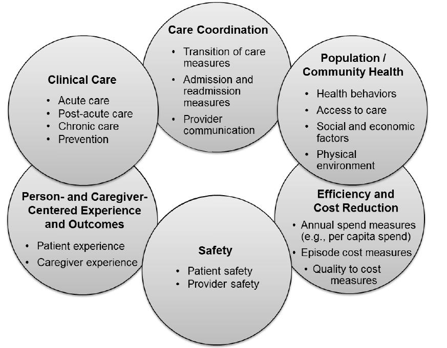 Six Domains of Quality Measurements Based on the National Quality Strategy From End-Stage Renal Disease Quality Incentive Program Notice of Proposed Rulemaking: Payment Year