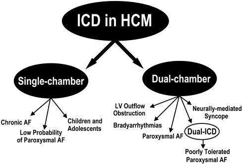 Here, we focus on the potential criteria to select the device and leads rather than on the specific indications for ICD implantation.