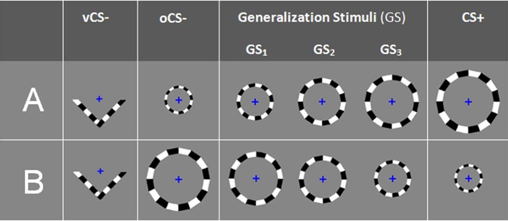 Figure 3.1: Conditioning and generalization stimuli.