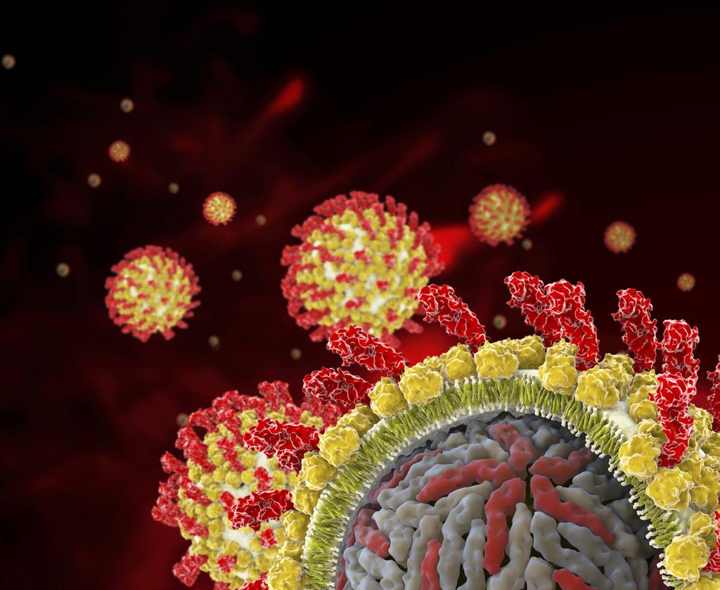 Updates in the Management of HCV: What Clinicians Who Care for Patients With HCV Need to Know Today The treatment paradigm for hepatitis C virus (HCV) is changing very rapidly.