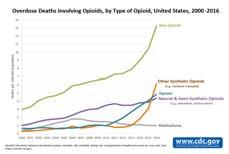 deaths from opioids Roughly 21-29% of patients prescribed opioids for chronic pain misuse them. 80% of people who use heroin misused prescription opioids first.