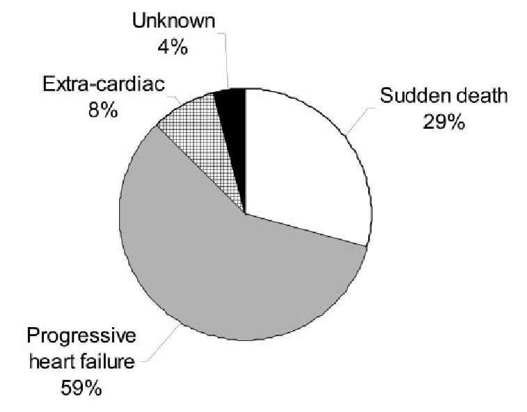 Cardiovascular Death 21 / 130 pts (FU: 8.1 ± 7.