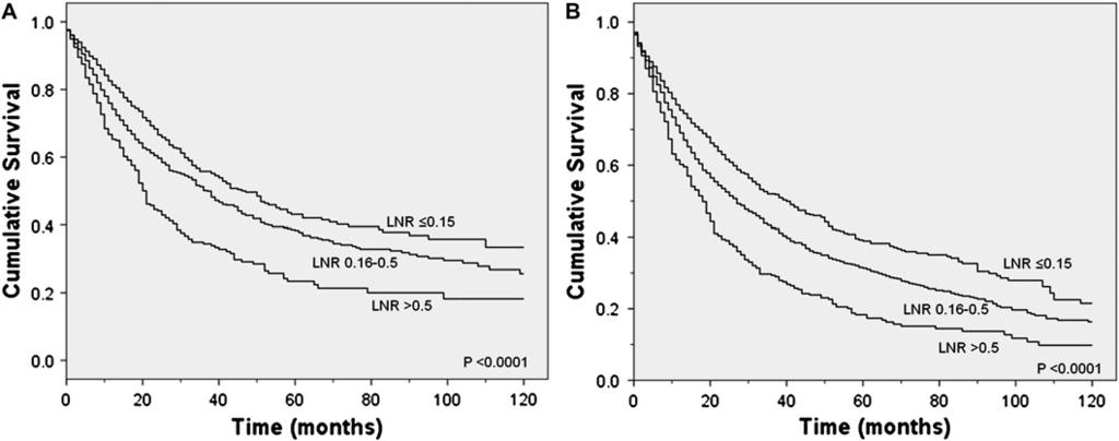 Figure 1 (A) Lung cancer-specific and (B) overall survival according to the ratio of positive to total N1 lymph nodes examined. LNR, lymph node ratio.