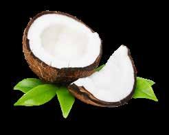 Positive Weight Management: Coconut oil can help reduce appetite and increase fat burning.