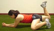 butt as you move the roller from the knee to the hip. Slowly lower your leg straight as you move back toward the knee.