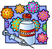 Influenza Vaccine Excipients Residuals Inactivating: formaldehyde Antibiotics: Neomycin, Polymyxin B Egg protein Additives stabilizers: albumin, gelatin buffers: phosphate Preservatives (thimerosal,
