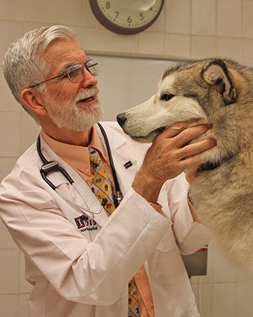 Dr. Brendan McKiernan, director of the University of Illinois Veterinary Teaching Hospital in Urbana, is an internationally renowned specialist in respiratory diseases of dogs and cats and the
