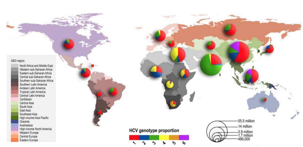 Global Prevalence of Hepatitis