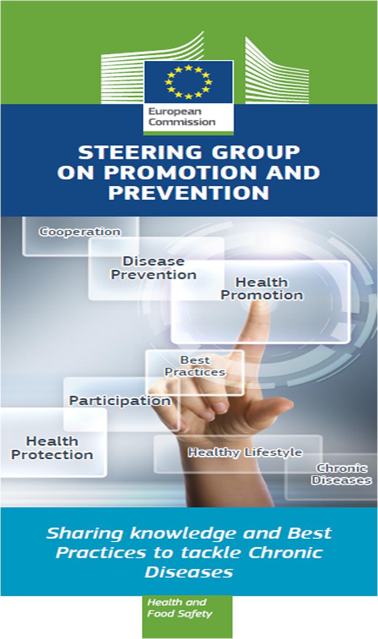 3. Steering Group on Promotion and Prevention Implementation of