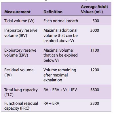 Lung volumes and capacities Volume vs. Capacity Volume is the amount of 3D space taken up by an object, e.g. a solid, a liquid or a gas.