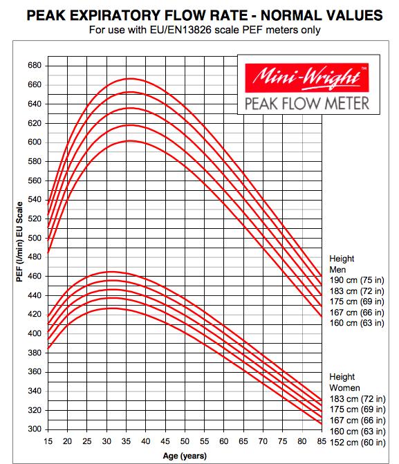 Peak flowmeter, PEFR Measurement of the peak