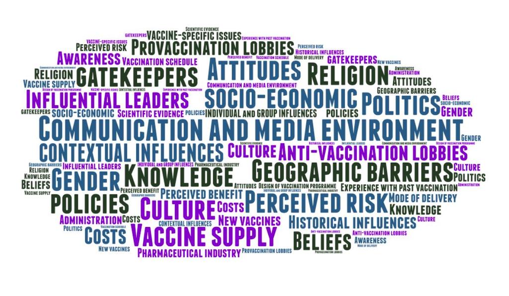 Vaccine Hesitancy a complex issue CONTEXTUAL FACTORS Politics Culture Socio-economic Media environment Influential leaders INDIVIDUAL/GROUP FACTORS Social norms Beliefs