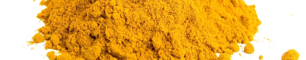curcumin to be absorbed by the human