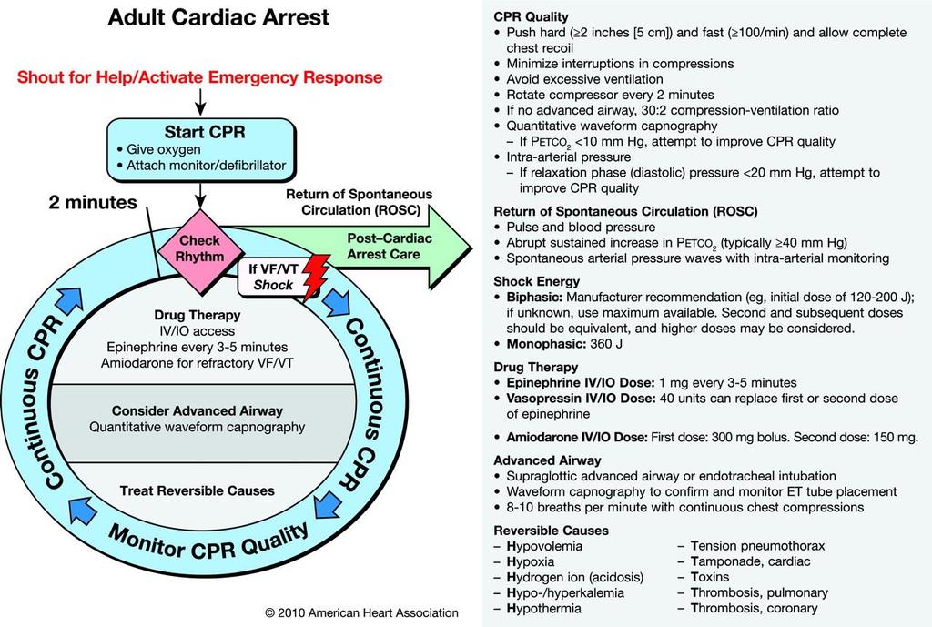 ACLS Cardiac Arrest Circular Algorithm. Neumar R W et al.