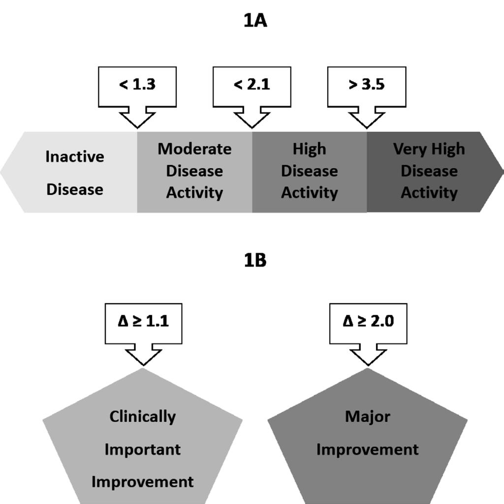 2 Figure 1. Selected cut-offs for (A) disease activity states and (B) improvement scores according to the Ankylosing Spondylitis Disease Activity Score (ASDAS).