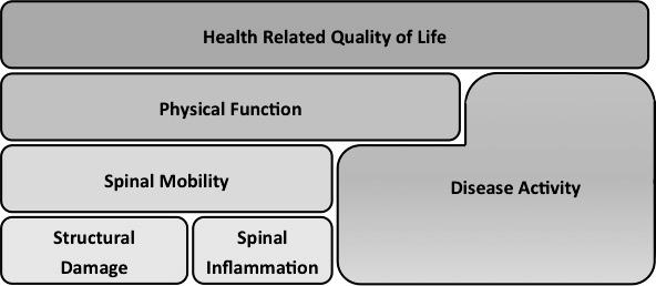 5 Figure 1. Stratified model for health outcomes in ankylosing spondylitis.