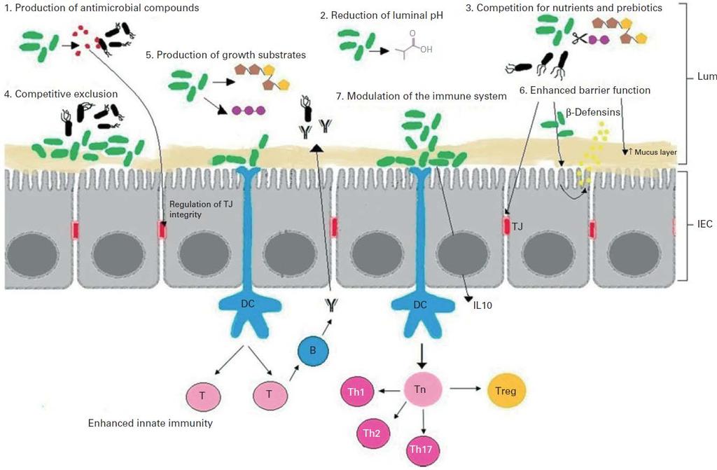 normal expansion of microbiota in the developing host and have been associated with an increased risk of asthma, autism, paediatric GI disturbances as well as other illnesses related to improper