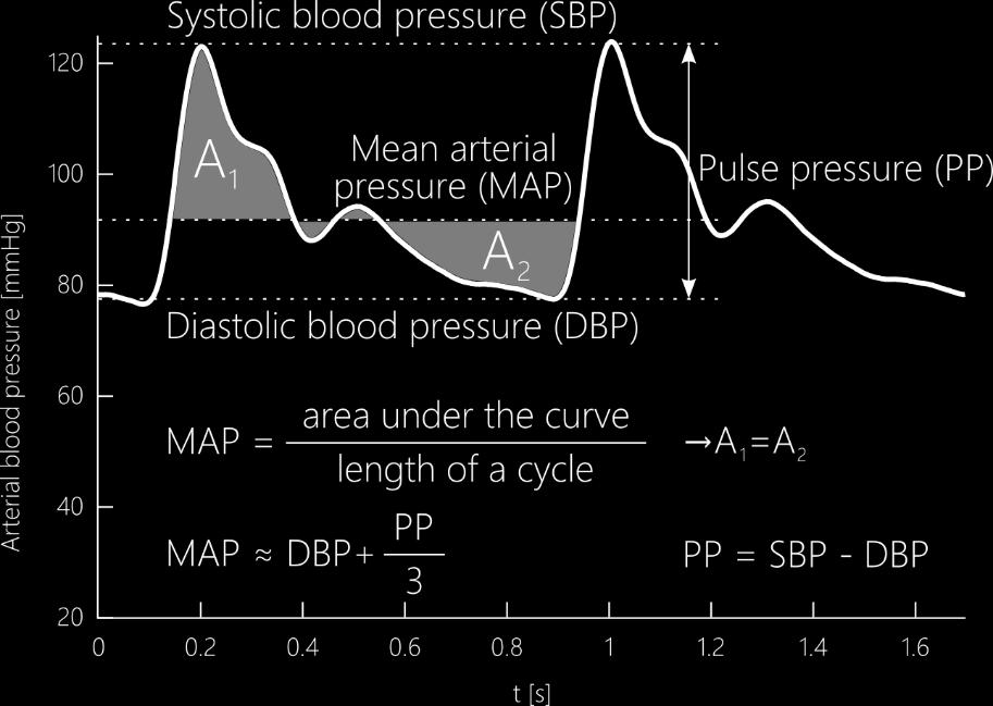 contractions) and a minimum value called the diastolic pressure (DBP). Reference values for healthy adults are 90 120 mmhg for systolic pressure and 60 80 mmhg for diastolic pressure.