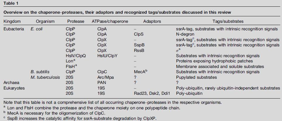 Curr Opin Struct Biol, 19, 209-217 19S cap of 26S proteosome consists of at least 19 protein subunits 6 of those are ATPases that