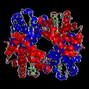 !!) is to code for proteins A typical bacterium builds