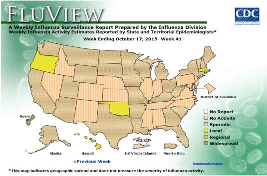 Four states reported local activity, while 29 states reported sporadic activity. No influenza activity was reported by the US Virgin Islands, the District of Columbia and 17 additional states.