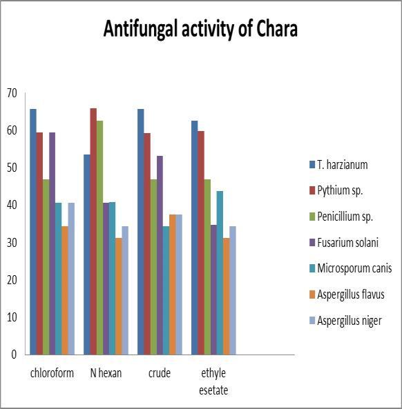 Begum et al. Figure 7. Antifungal activity of chloroform, n- hexane, crude and ethyl acetate against the selected strains of chara. Figure 8. Antibacterial % inhibition of E. coli, X.