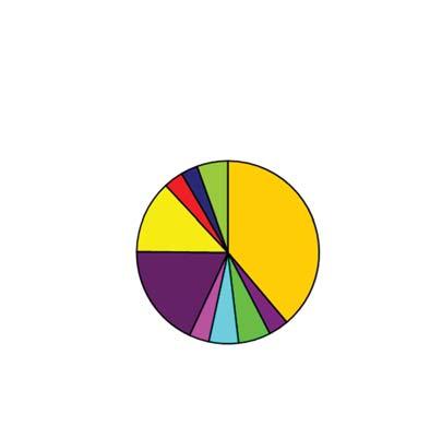 W.M. van der Flier and P. Scheltens / Amsterdam Dementia Cohort: A Cohort Profile 1093 Fig. 1. The pie charts show initial diagnoses in the Amsterdam Dementia Cohort, according to age-at-onset.
