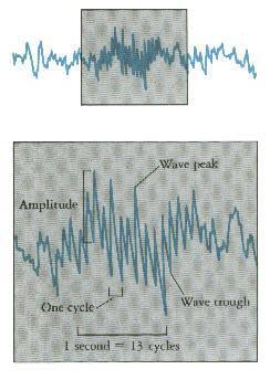 EEG Recordings Frequency How fast ups and downs
