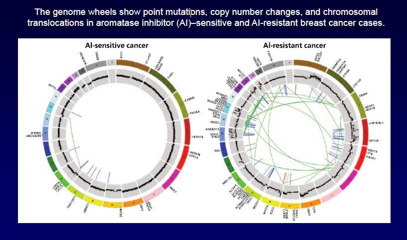 Breast cancer genome sequencing results