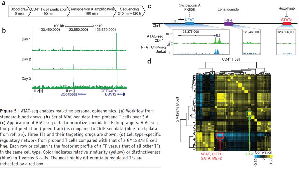 Epigenomic analysis on clinical timescales ATAC-seq protocol was applied on T cells from healthy volunteer on three consecutive days Investigation of the ATAC-Seq profile of the IL2 locus