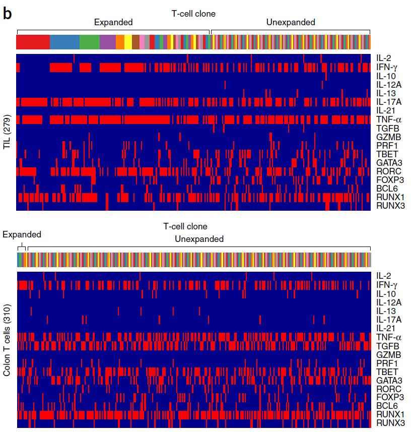 Analysis of tumor infiltrating lymphocytes (TILs) by TCR-Seq 736 sorted CD4+ TILs, 372 CD4+ T cells derived resected adjacent colon tissue and peripheral blood T cells from a human colorectal-cancer