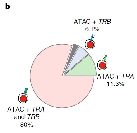 Performance of T-ATAC-Seq in human immortalized T cells 288 single human Jurkat leukemia cells Combined ATAC-Seq and TCR-Seq were obtained in 93.