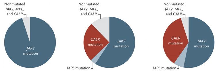 CALR mutation distribution in