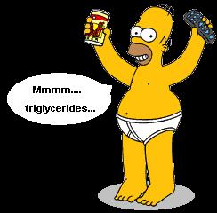 Triglycerides l 3-Fatty acids attached to glycerol backbone l Most fats we eat are triglycerides l Broken down then