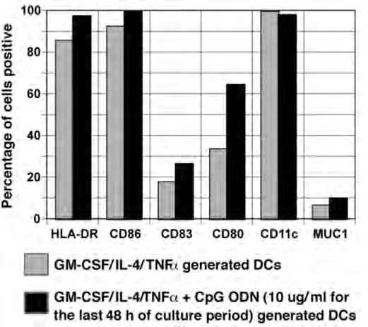 Phenotypic characteristics of monocyte derived DCs following exposure to CpG ODN For further comparision, we examined the effects of CpG ODN on DC maturation (Figure 8).