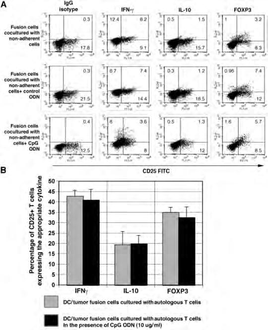 Figure 9. Expression of IFNγ, IL-10 and FOXP3 by regulatory T cells after stimulation with CpG ODN treated DC/tumor fusion cells.