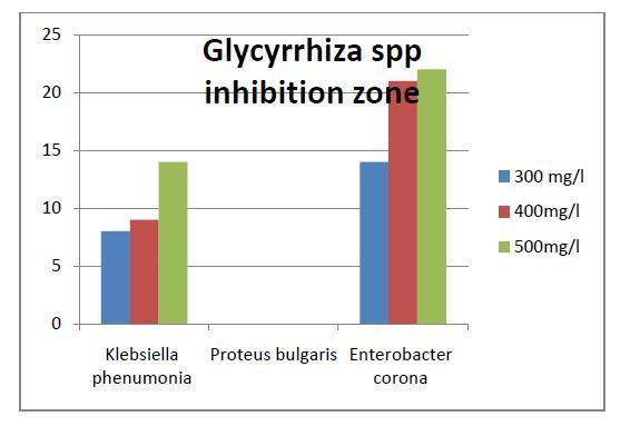 The results in figure 4 indicate: Figure 4: Inhibition zone of the three bacteria in Glycyrrhiza spp exract. Large inhibition zone found in E.corona followed by K.
