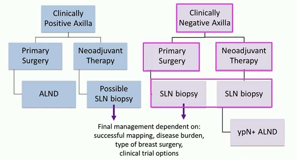 SNB AFTER NEOADJUVANT TREATMENT SLNB procedure of choice for axillary