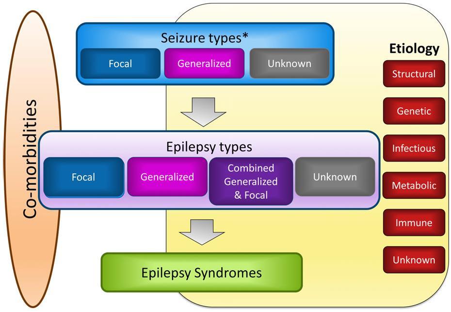 Framework for Epilepsy