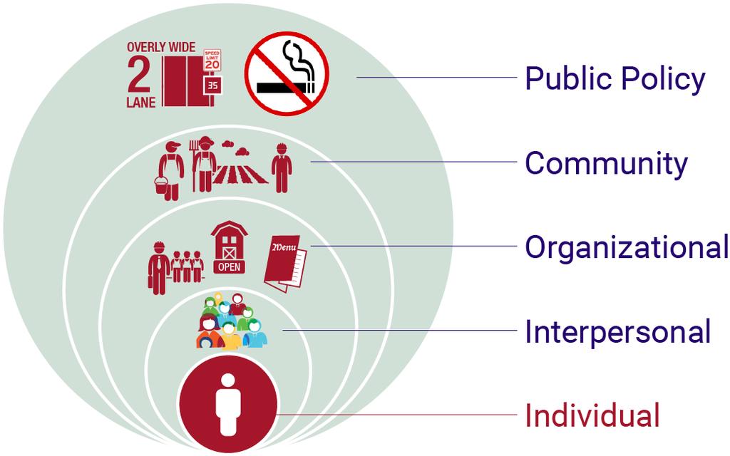 Intervention Strategy Smoking policies, Complete Streets Policy, City Comprehensive Plan Program partnerships, community events, community-wide health challenges, social marketing campaigns