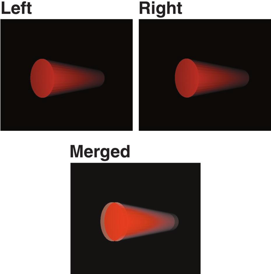 Nakamura et al. From Vision to Prehension: LIP Links V3A and AIP J. Neurosci., October 15, 2001, 21(20):8174 8187 8175 Figure 1. One of the three-dimensional visual stimuli used in this study.