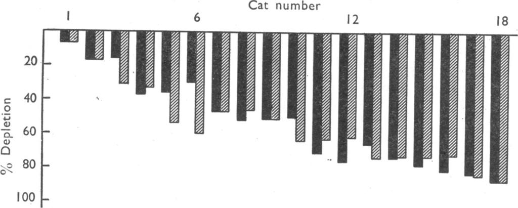 3-Results of Series 1, showing the similarity in the percentage loss ofadrenaline (U) and of noradrenaline (U) when the adrenal gland of the atropinized cat is depleted by repeated doses of
