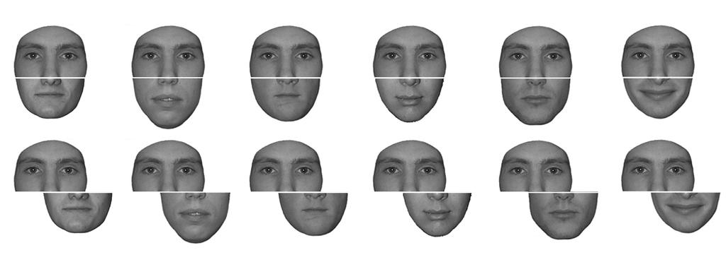 Journal of Vision (200X) X, X-X Rossion & Boremanse 3 rather than being processed independently from each other, facial features are integrated into an individual perceptual representation of the