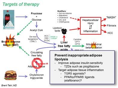 AST ALT Pioglitazone for NASH Impaired glucose tolerance or type II DM (n=55) Biopsy confirmed NASH