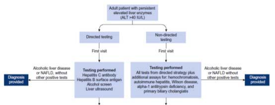 Decision analytical microsimulation Evaluation of Asymptomatic Elevated Liver Tests Diagnostic yield 53% Less false positives More biopsies Cost depends on disease prevalence Diagnostic yield 54%